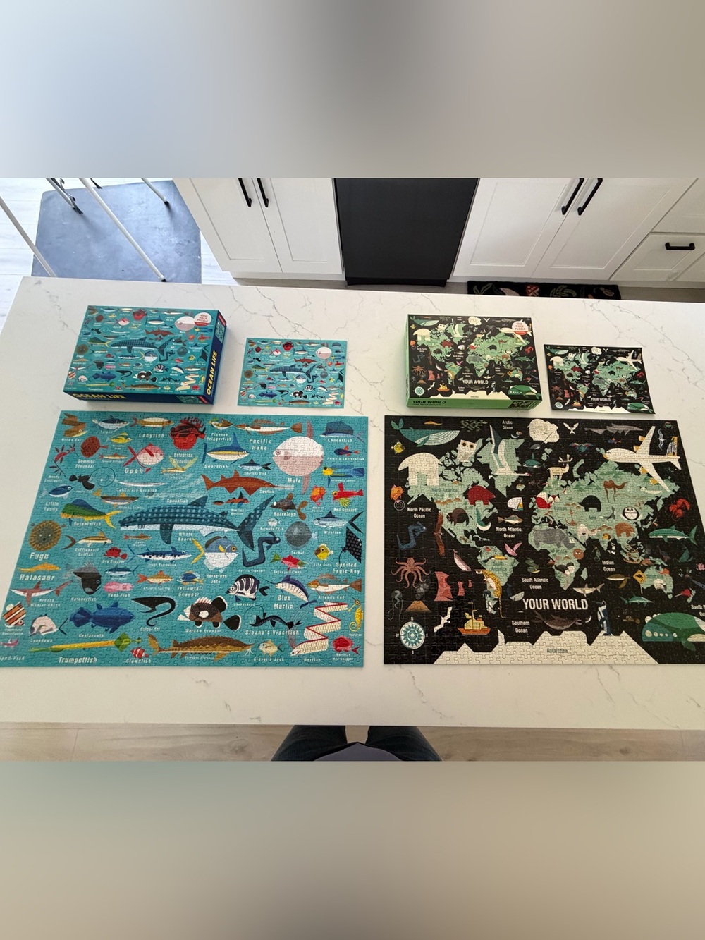 Ocean life and your world mudpuppy puzzle bundle